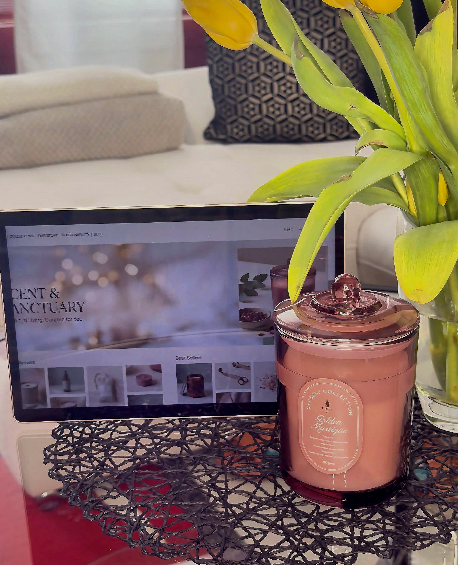 Cozy & Wellness